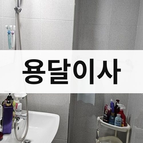 대구 동부 용달이사 포장이사