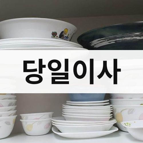 대구 동부 당일이사 포장이사